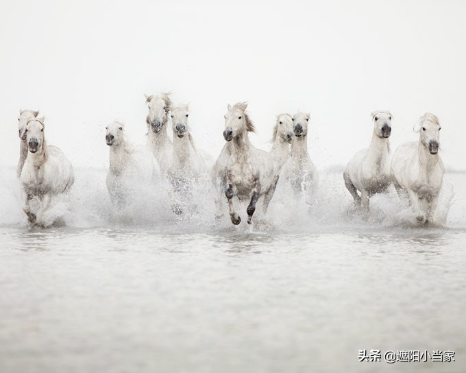 笔触丝滑的装饰画,仙气飘飘的小装饰画