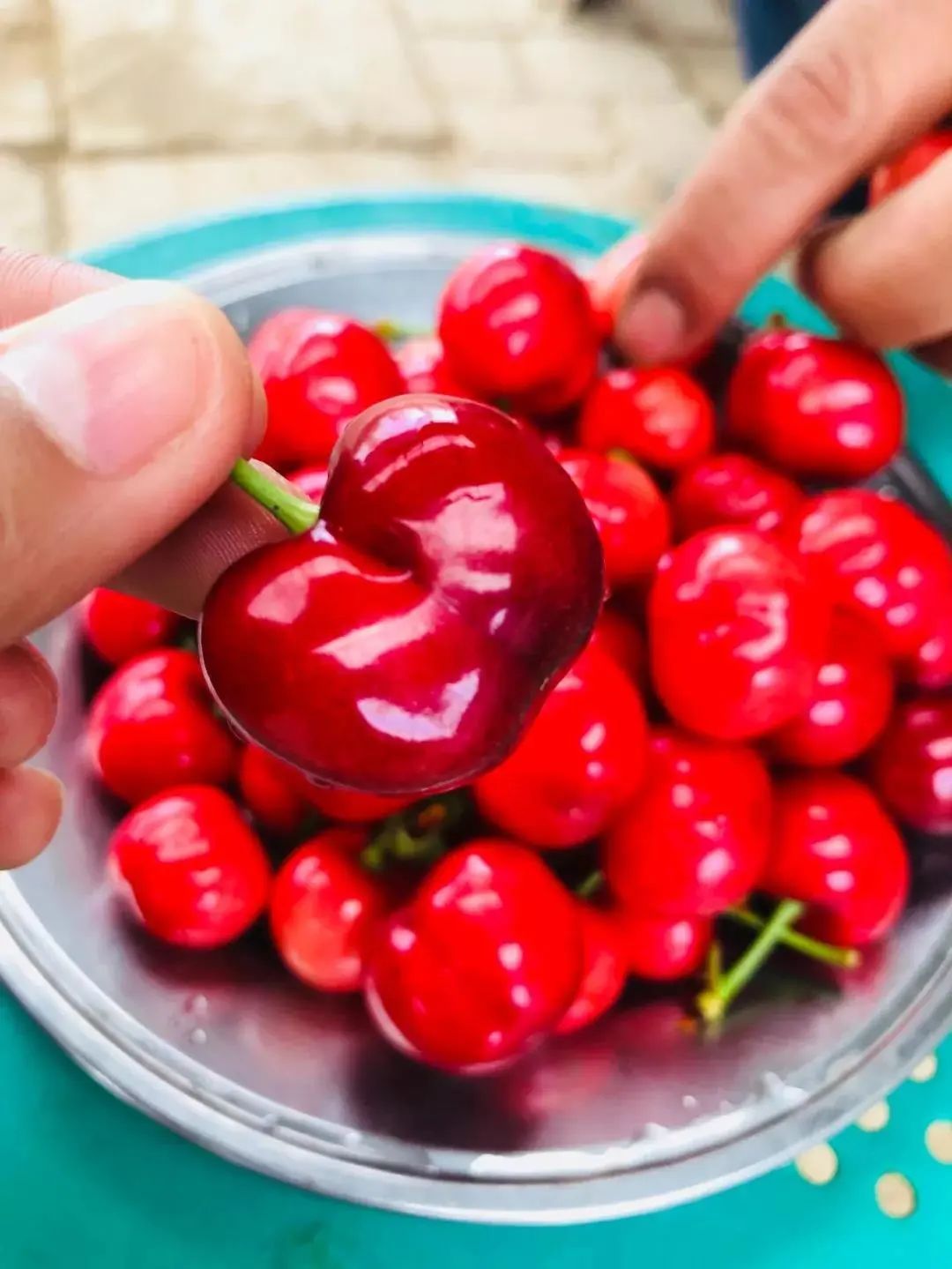 西安樱桃采摘最佳时间,西安樱桃哪里可以摘