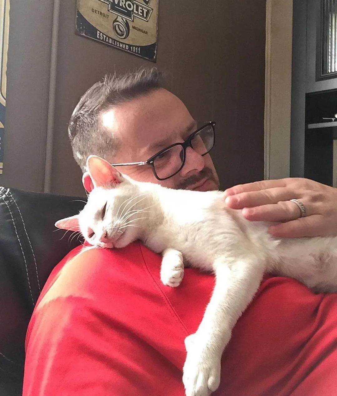 被救助的猫咪小胖胖,猫咪被罐头盒困了