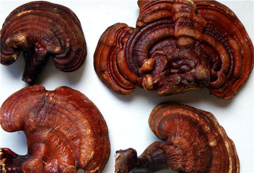 神农本草经中灵芝记载原句,神农本草经里面的灵芝图片