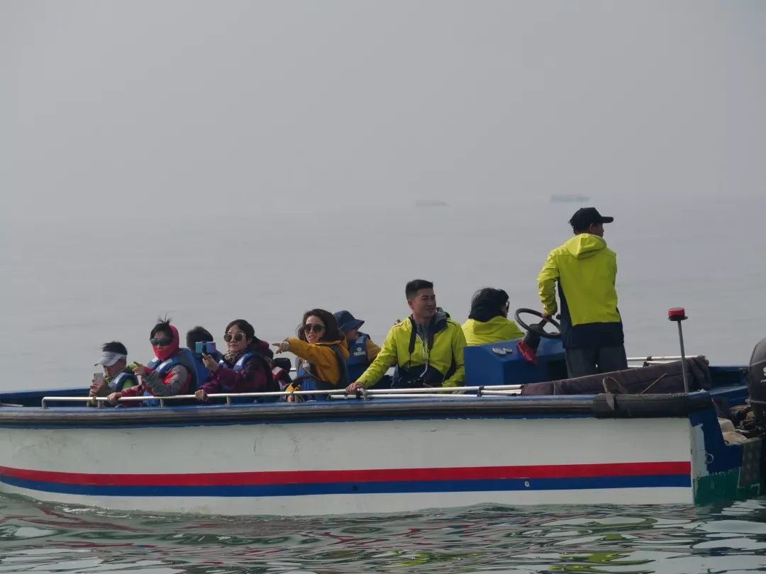 钦州三娘湾寻找白海豚,钦州三娘湾中华白海豚咬不咬人