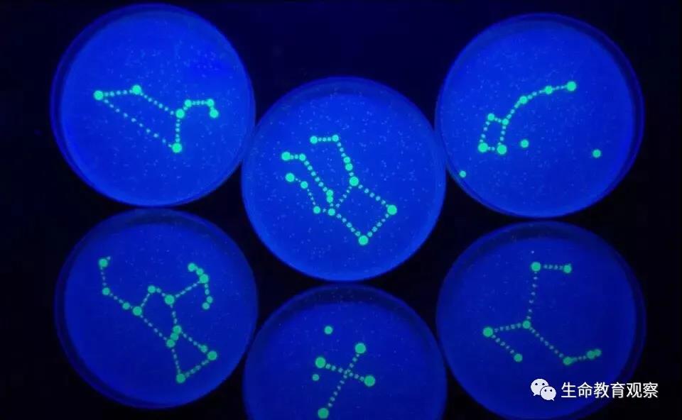 理科男喜欢的七夕礼物,理科男的送的礼物