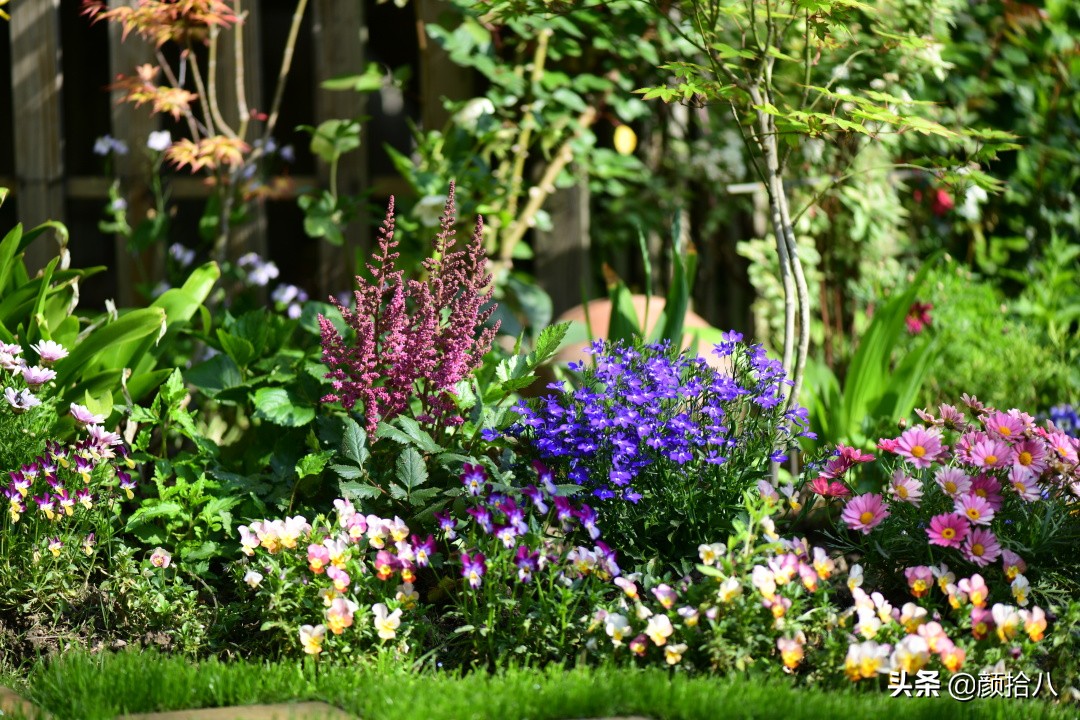 愿时光静止,愿时光静止在这一刻