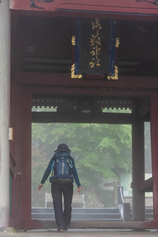 苔藓生活在阴暗潮湿的环境中,苔藓岁月