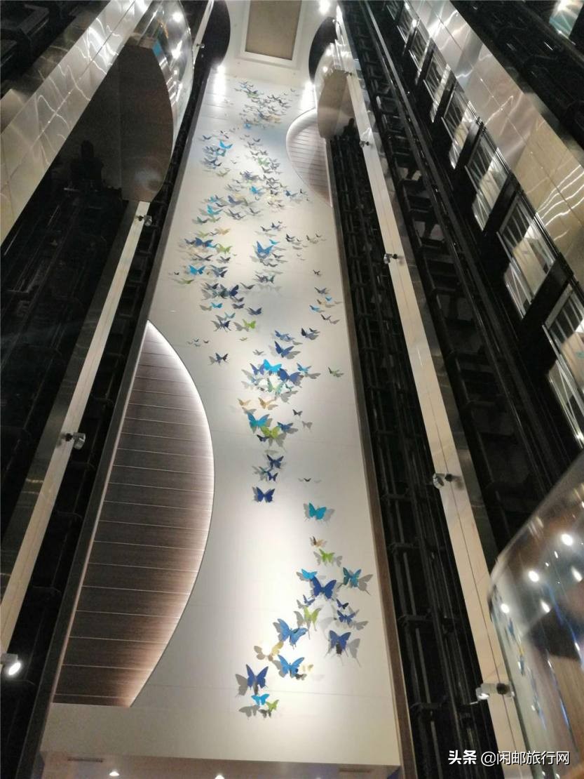 带着老人们去邮轮旅游,带长辈去邮轮