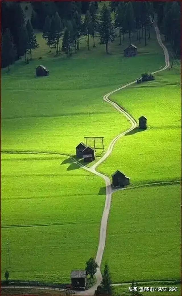 春天的绿代表什么,春天的绿是大自然的灵感吗