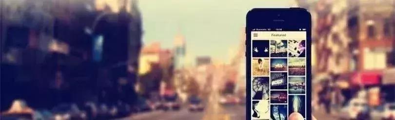 最赚钱的农业项目有哪些,有哪些农业致富好项目值得推荐