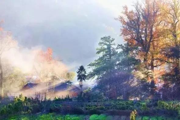 江西十大旅游秘境,春节绍兴去江西十大最美自驾路线