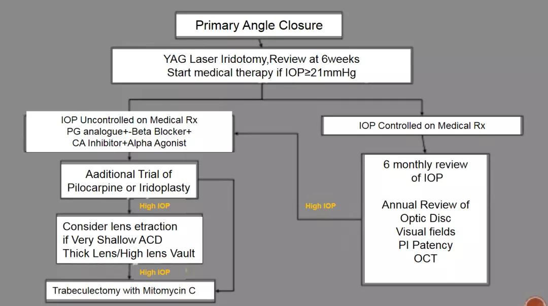 收好了!一份原发性前房角关闭疾病诊断与治疗的流程图