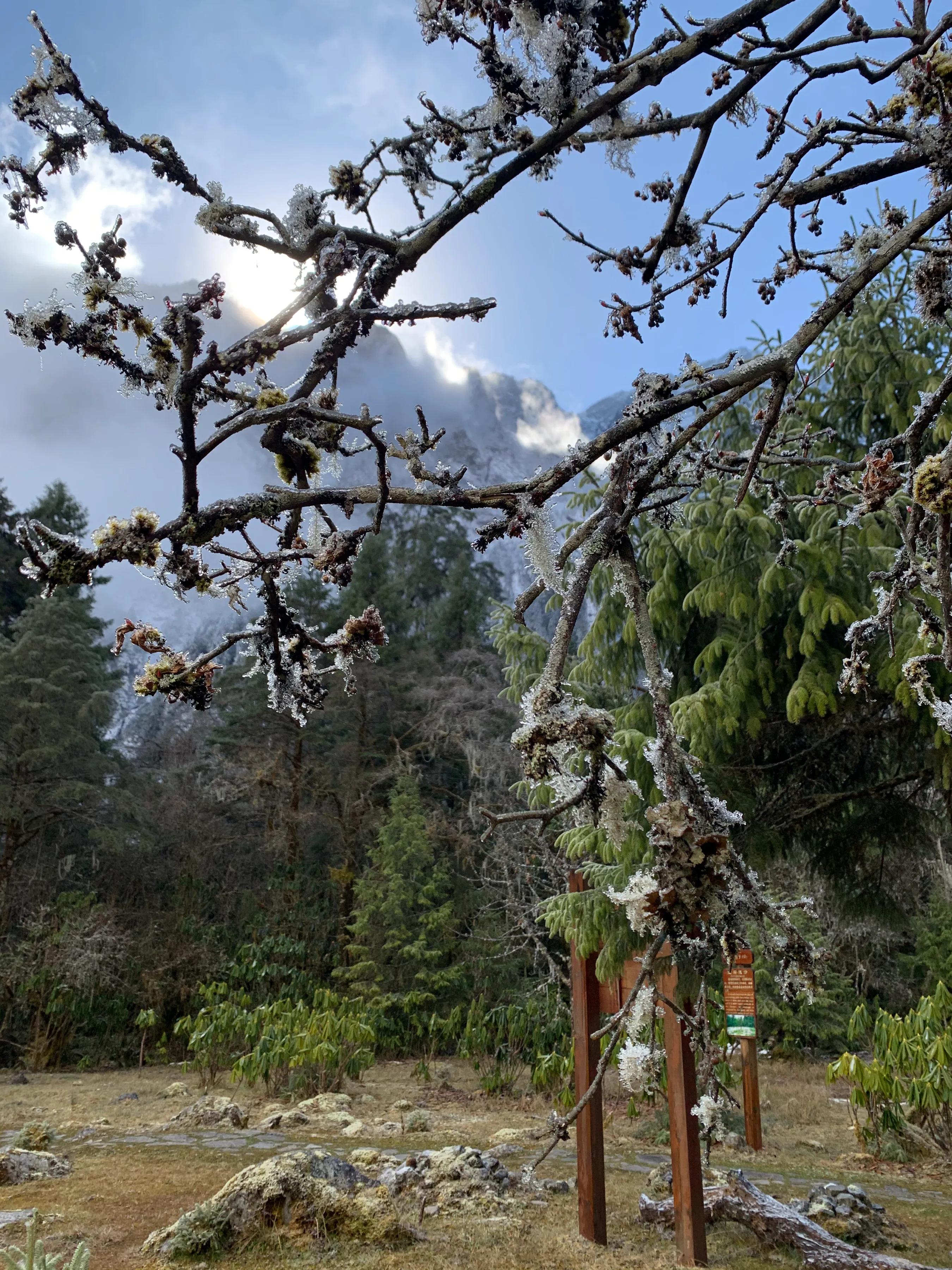 海螺沟燕子沟旅游攻略,海螺沟和燕子沟哪个更值得去