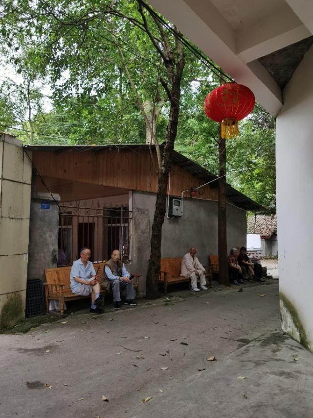 疫情下农家乐有哪些,疫情下农家乐