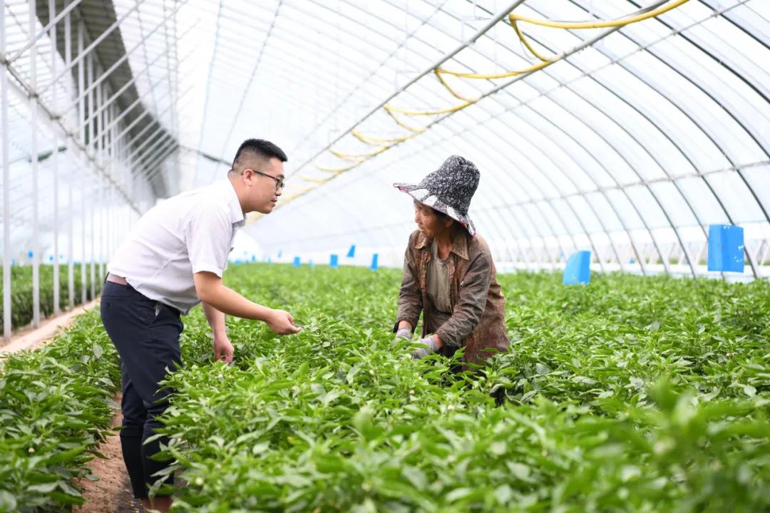 农商行我为群众办实事活动方案,农商银行办实事解民忧暖人心