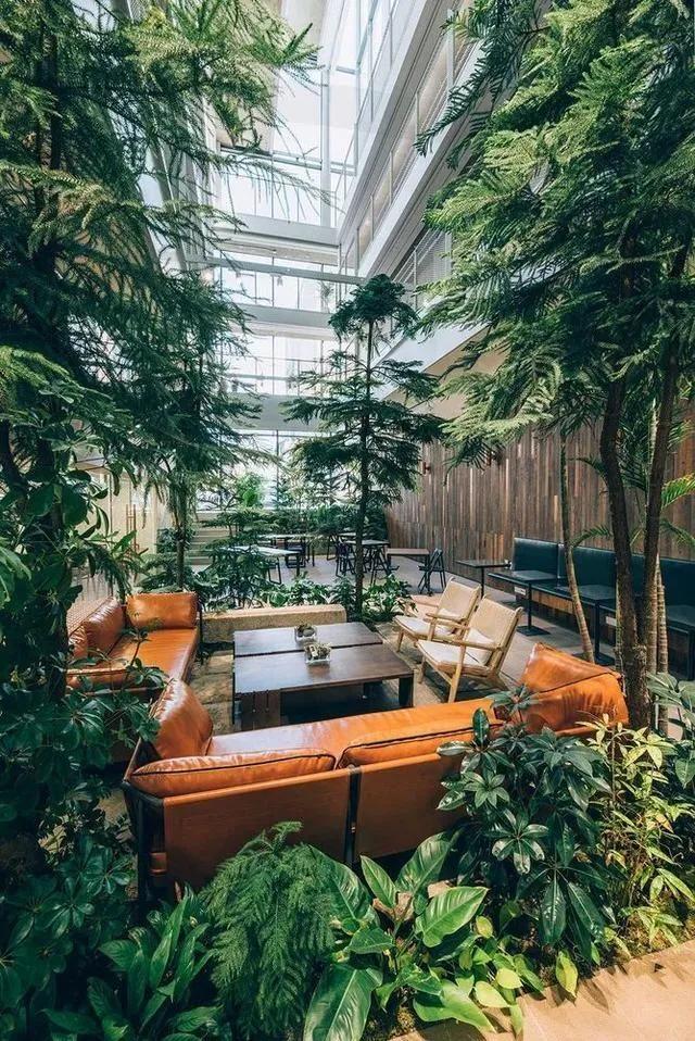 亚洲最好的共享公寓,高档共享公寓