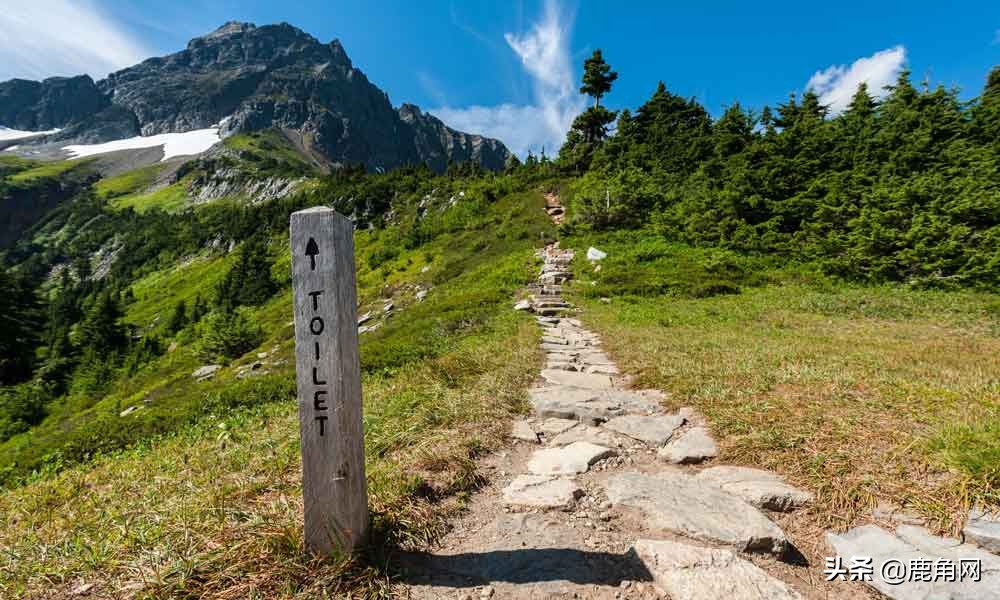 为什么会总是感觉尿急,为什么会尿急