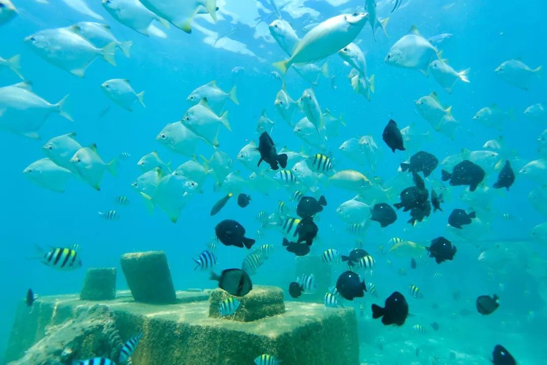 读书旅行看电影,读书与旅行的完美结合