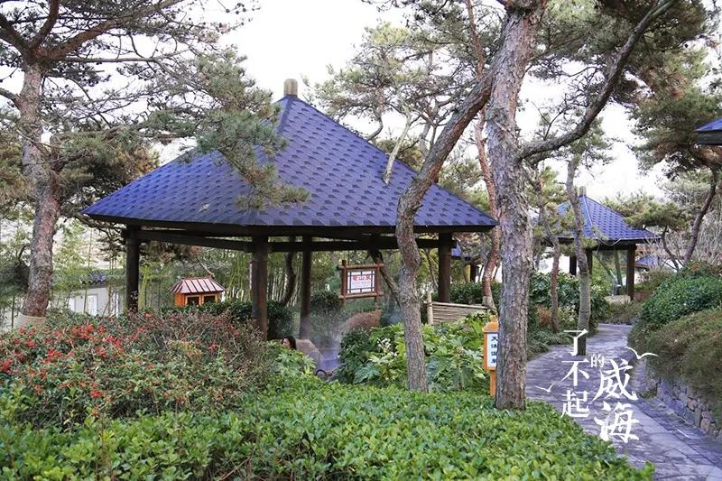 威海泡汤推荐,威海温泉有什么规划