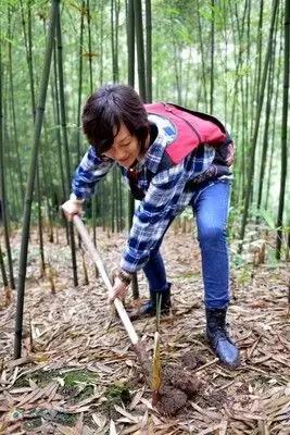 春笋人间四月天,人间四月天吃春笋