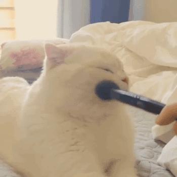 容易脸红要不要用腮红,脸红是最好的腮红