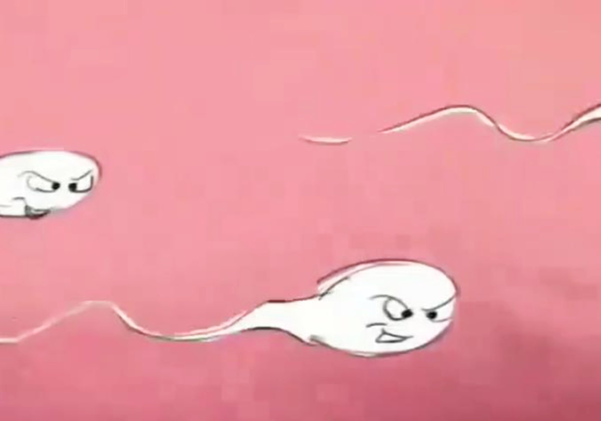 宝妈吃了避孕药会发生啥？动画模拟全过程，精子：我太难了
