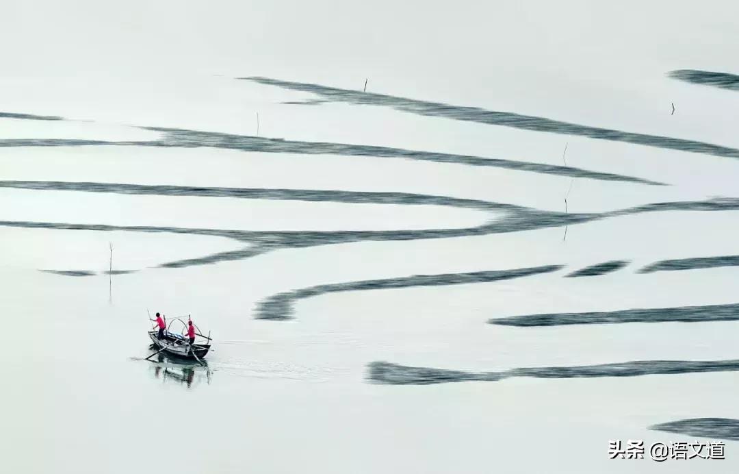 大公无私≠铁面无私：50组易混淆的成语，你真的用对了吗？