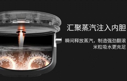 九阳蒸汽电饭煲s2和s3有什么区别,九阳蒸汽电饭煲f-s3蒸米饭