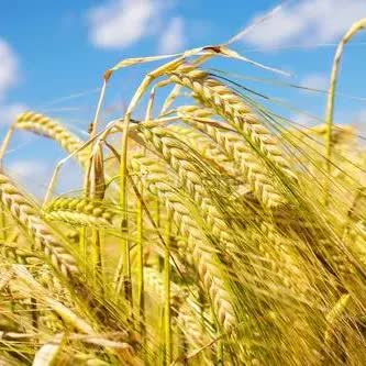 推荐好用的祛斑套盒,祛斑套盒推荐测评