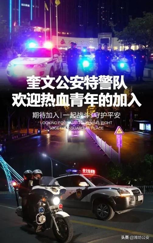 等你加入海报,潍坊奎文特巡警大队