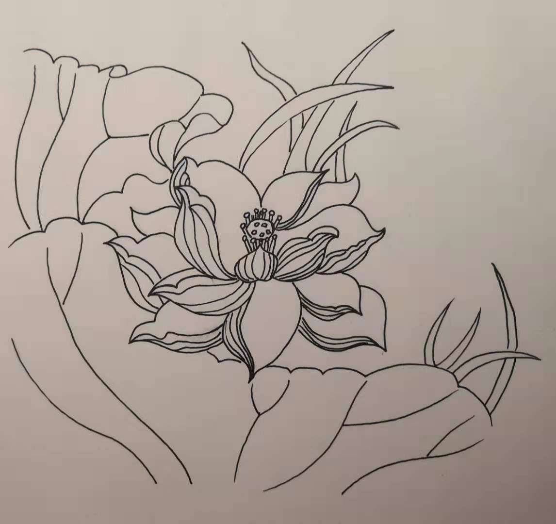 荷花简笔画10000例图片,蜻蜓的简笔画和荷花的简笔画