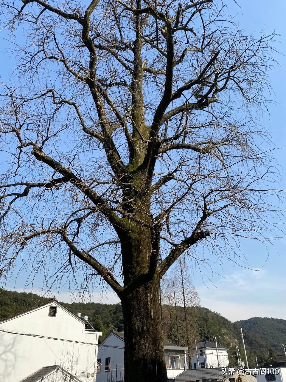 绍兴坡塘：范蠡商经发祥地 山阴道上画中游
