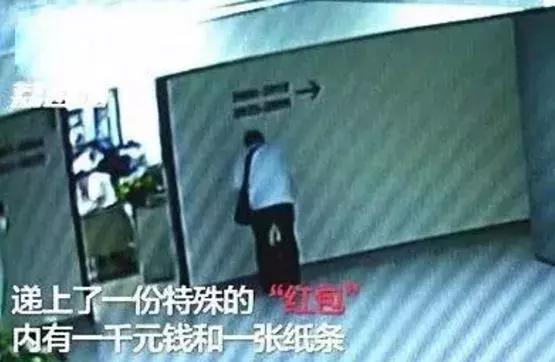 这才是董卿真实的样子,董卿跪地为什么获得网友的称赞