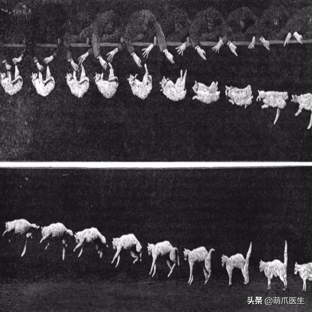vans再次打造电影联名系列,vans老鼠联名