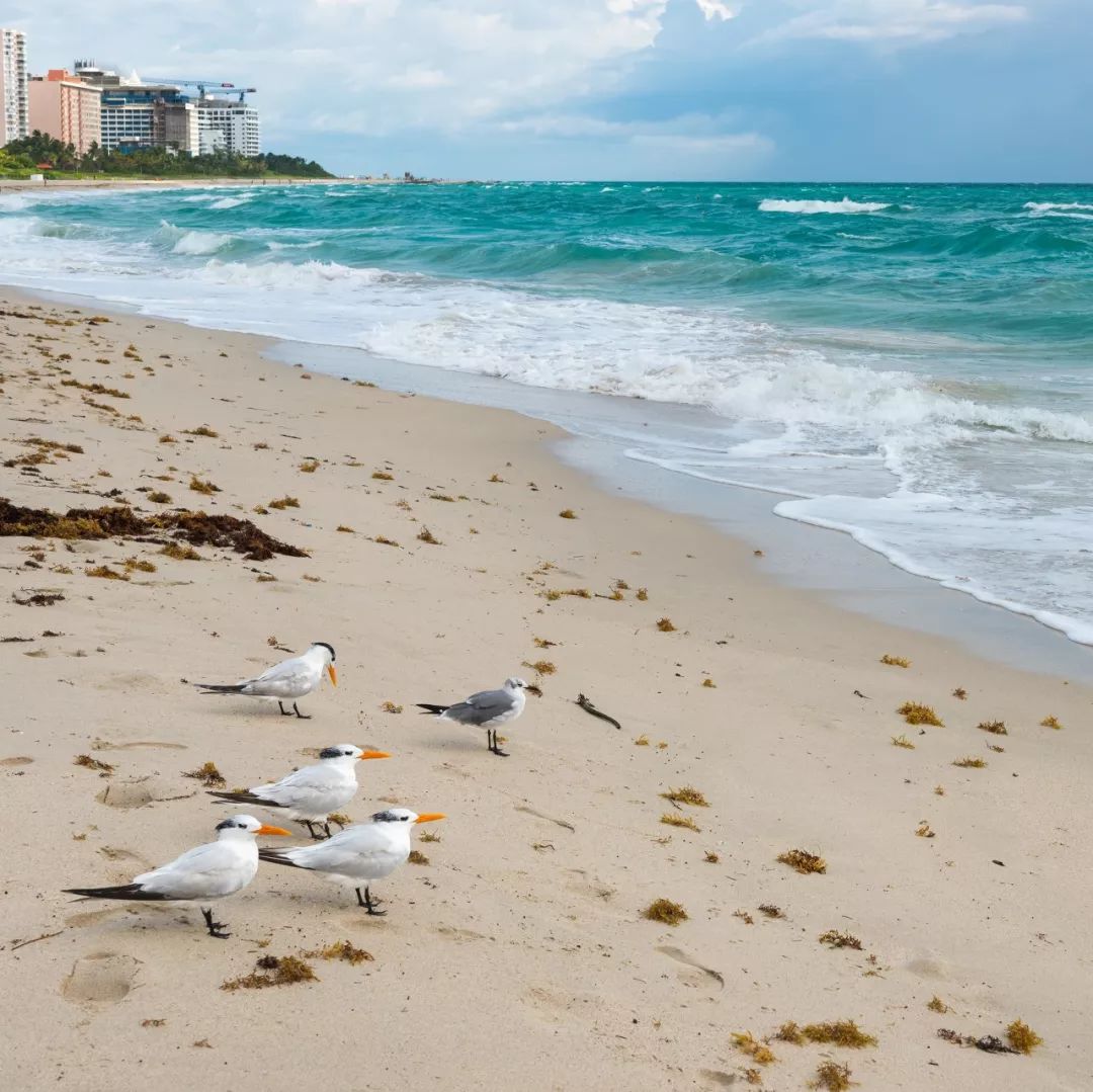 带你去看海最美的海岛,等一个人陪我到海岛