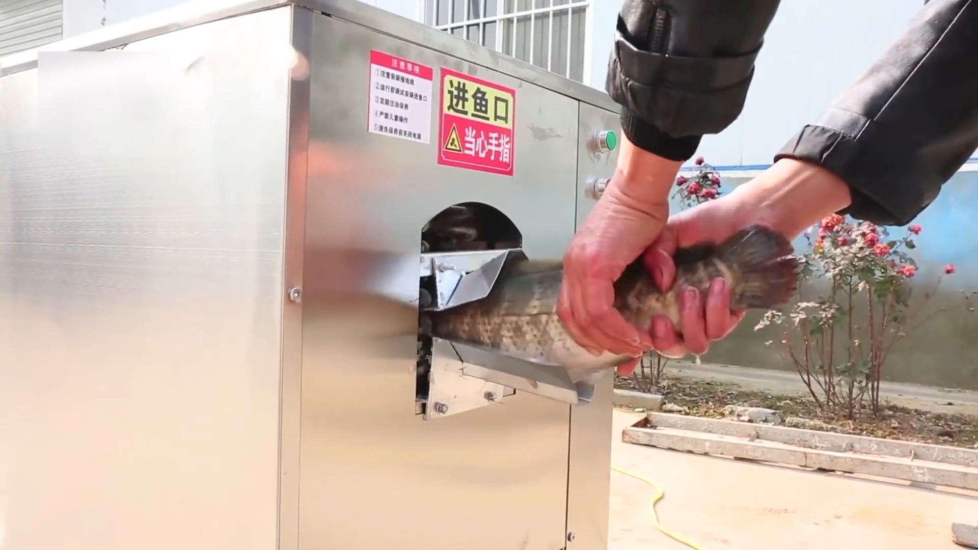 小伙子发明的杀鱼神器,自动杀鱼机制作全过程