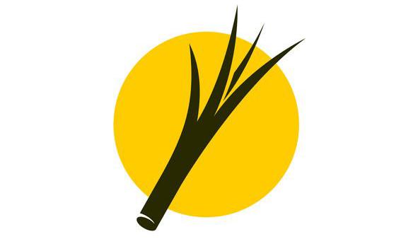 毛发分叉易断怎么办,毛发开叉变白