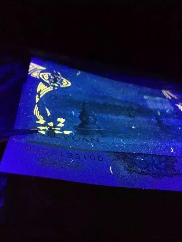 你就是个谜最新全部章节在线阅读,你就是个谜这句话啥意思