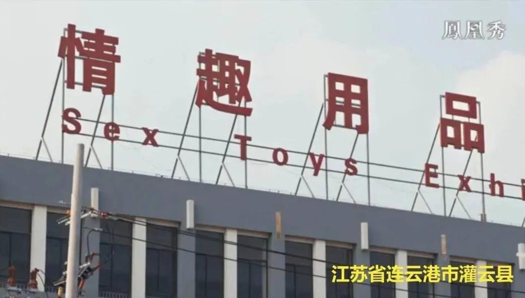 从高中生到“情趣内衣大王”：他大一赚了一百万，带领一个县脱贫