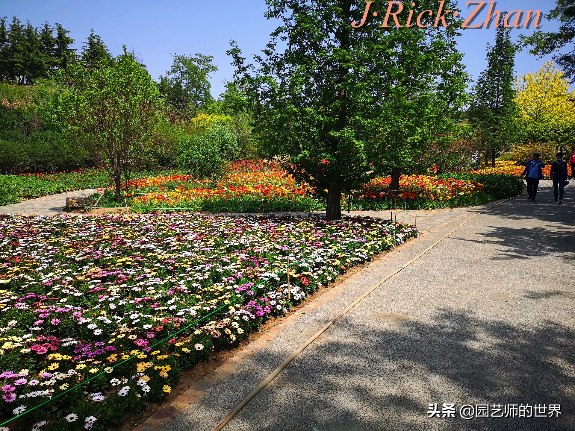 值得参观的国内优秀花园之品鉴（上篇）