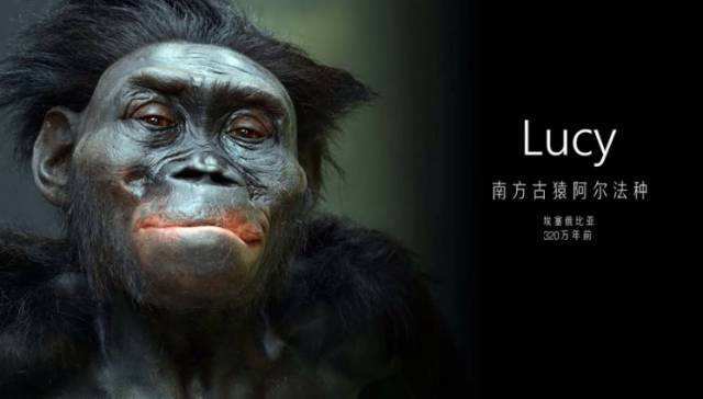 为什么男人越高越矮,为什么男的高女的矮