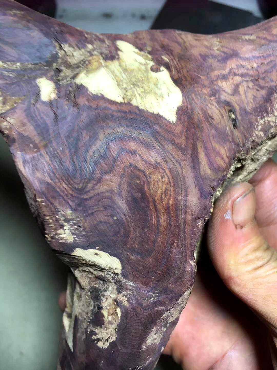 海南黄花梨与降香黄檀的区别,降香黄檀与海南黄花梨的区别