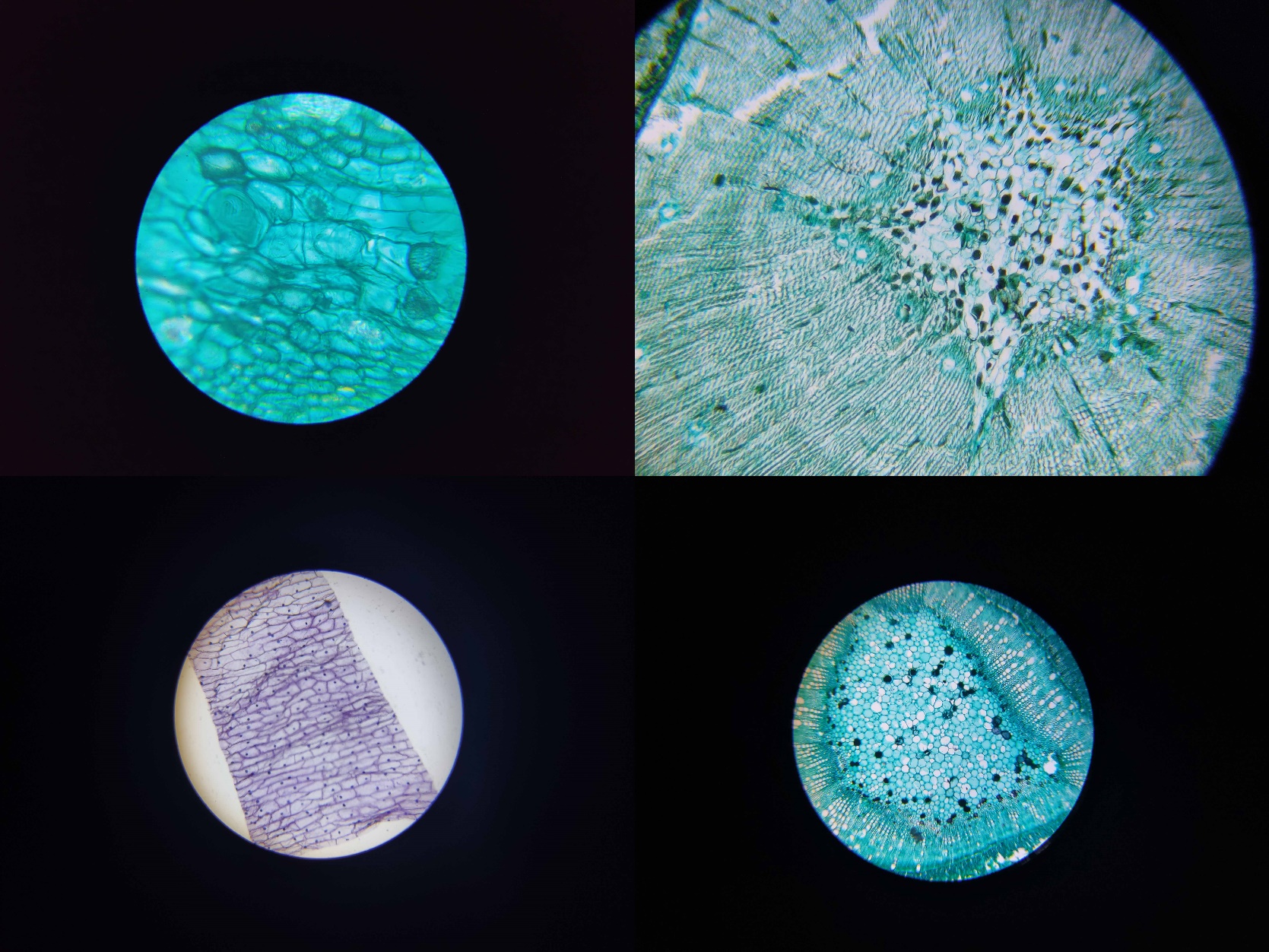 花式搞电脑,花式投影仪玩法