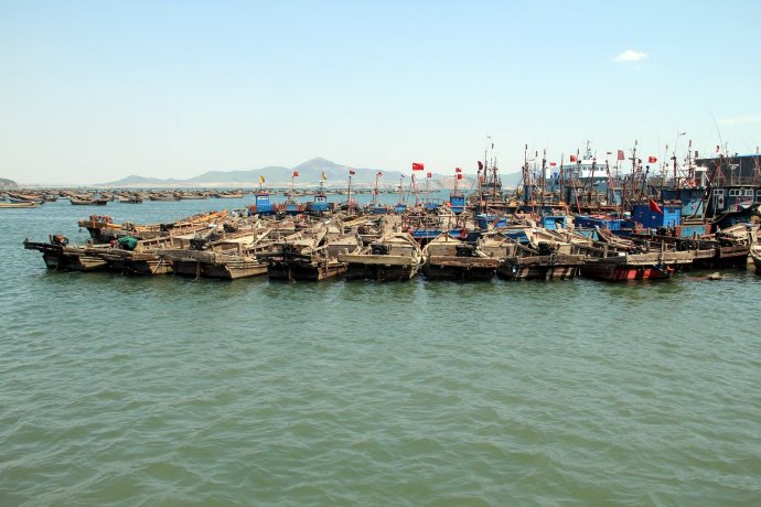 閲嶅ぇ鎻,鐧借壊娴疯儐鑲夎兘鍚冨悧