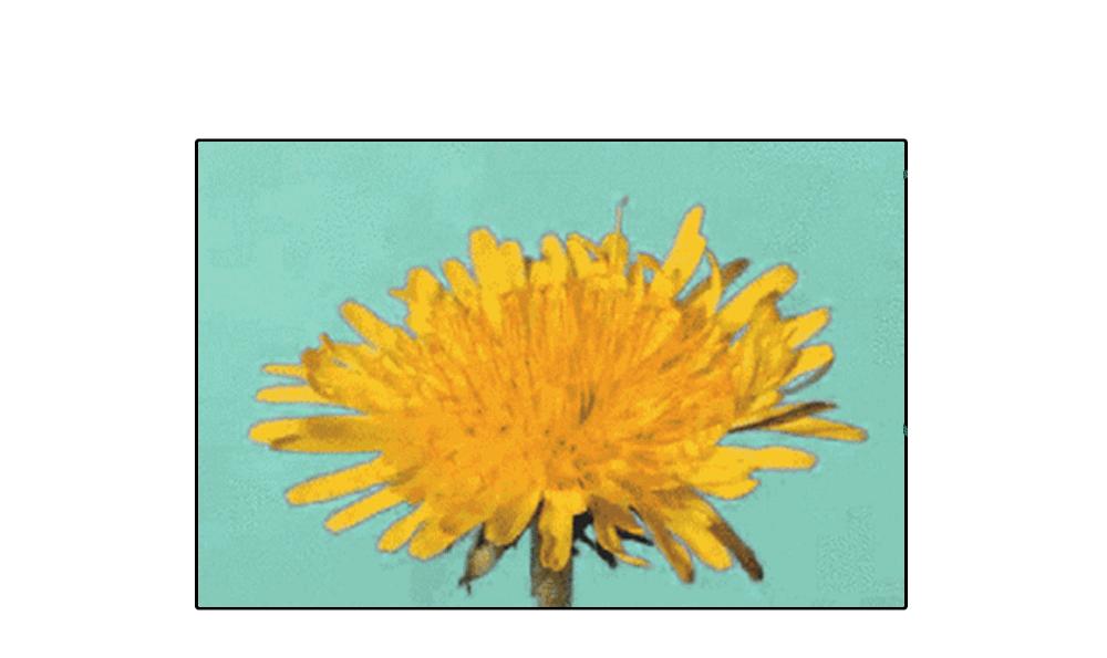 是男人，就进来跟我学提肛