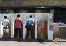 狗到底可以吃海带吗,狗多大可以吃海带