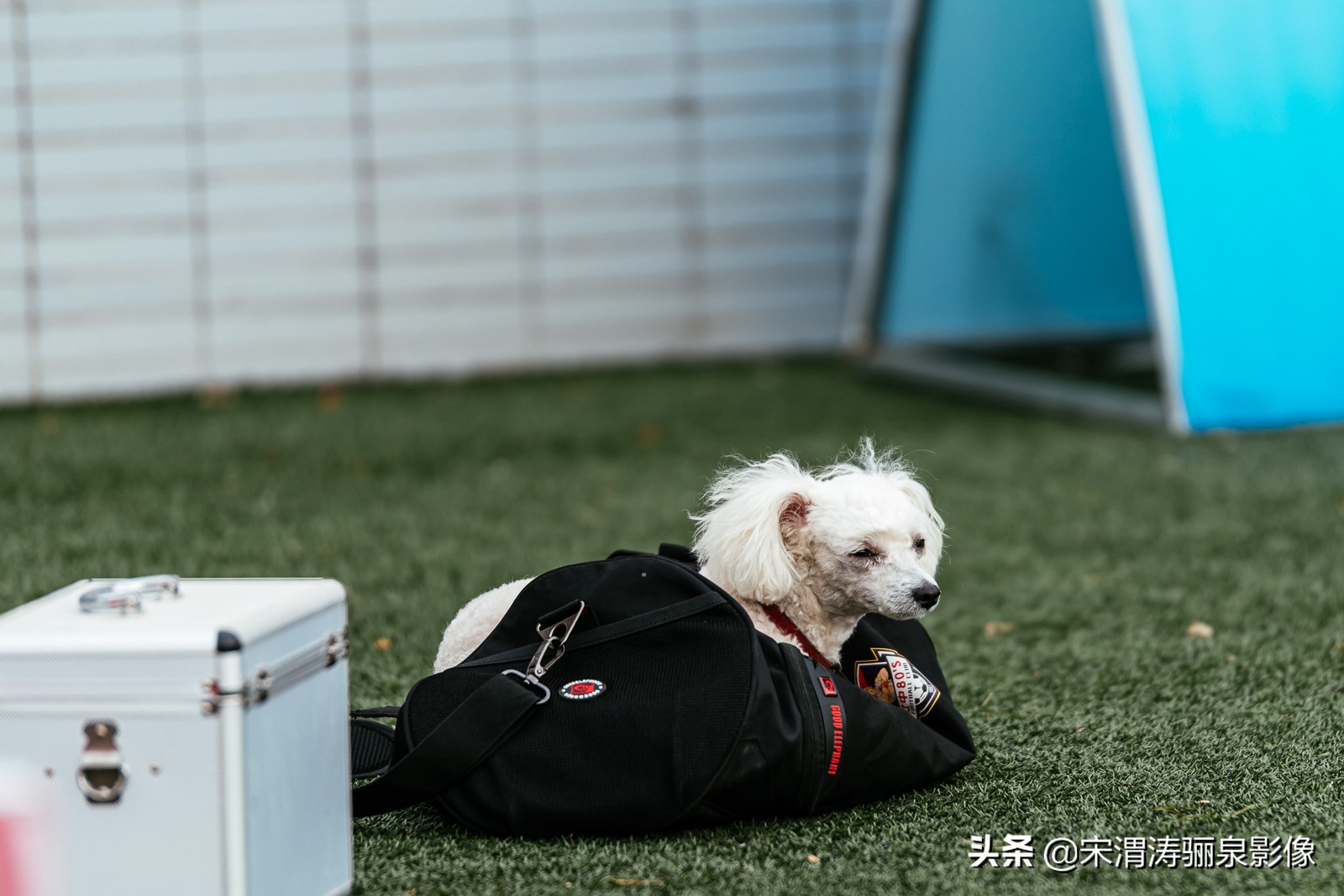 渭南杜中篮球队,渭南杜中体育俱乐部足球