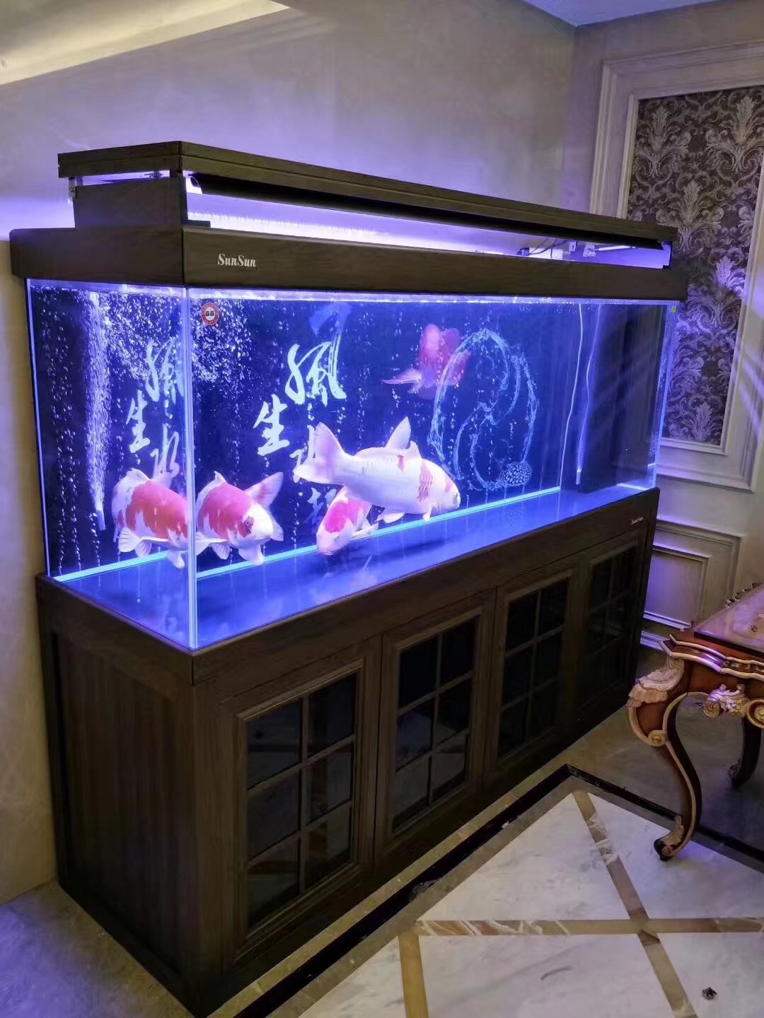 鱼缸抽水泵摆放最佳位置,鱼缸摆放的最佳位置在哪里