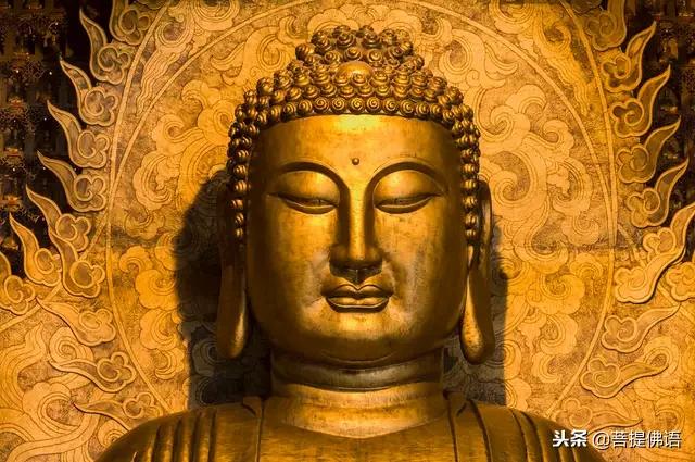 为世人祈福南无阿弥陀佛,南无阿弥陀佛2019年佛光普照