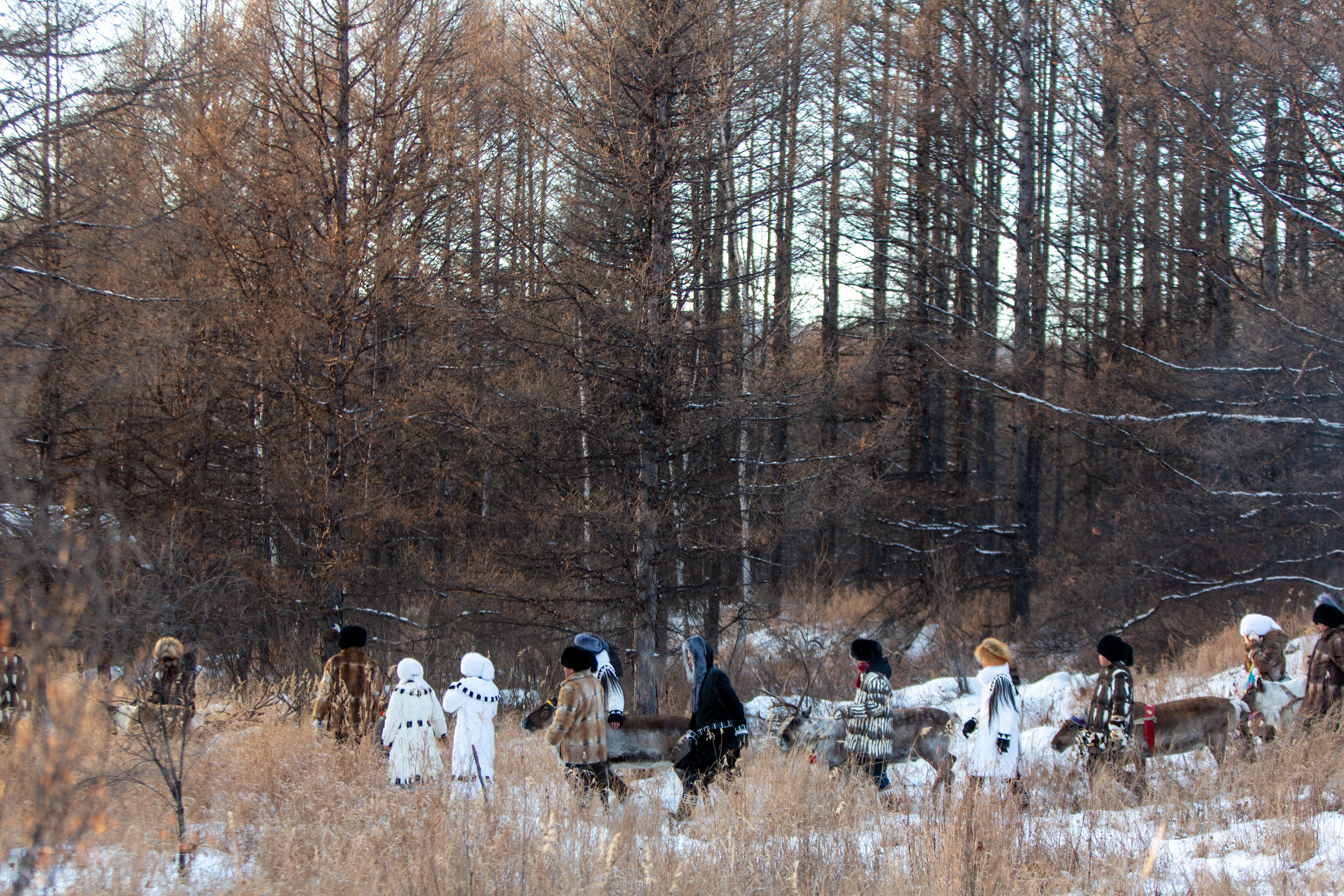 夏季内蒙古自驾游,北京到内蒙古东北自驾游旅行攻略