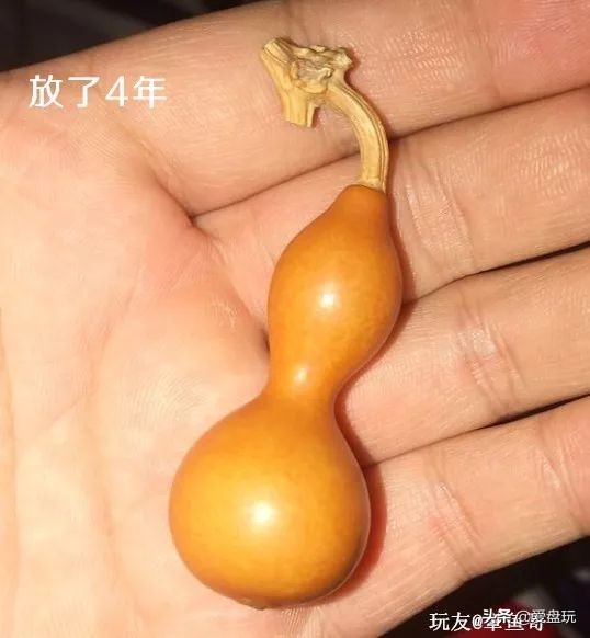 盘好的小葫芦怕晒吗,什么颜色的葫芦适合盘玩