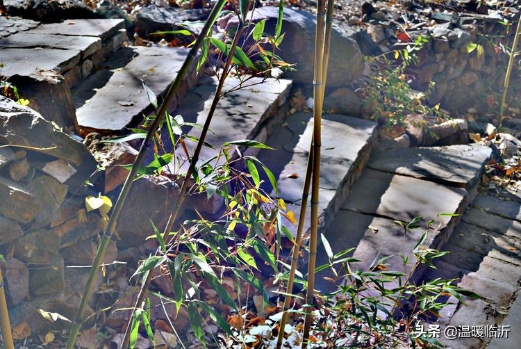 竹泉村景区,最美竹泉村