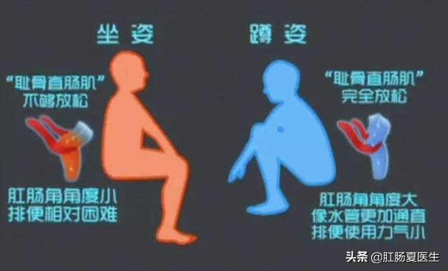 大便不顺畅的原因及调理方法,大便不顺畅有什么好方法